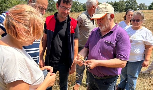 "Tarla günü" etkinliği yapıldı