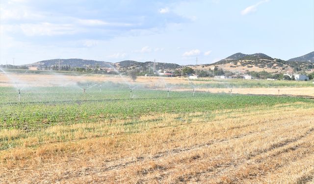 Üretimin artırılması amacıyla 30 bin dekar arazi daha sulamaya açıldı