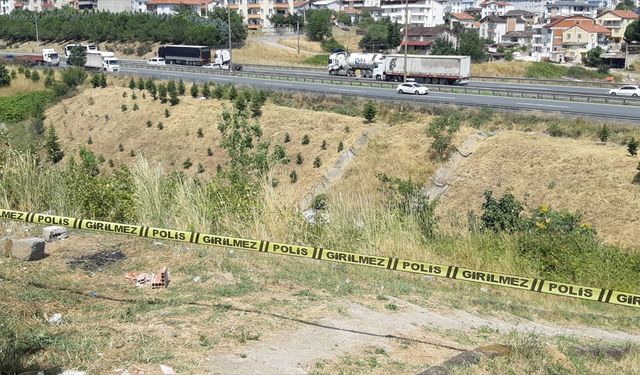 Yol kenarında kadın cesedi bulundu