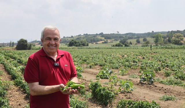 350 dekarlık alanda tarımsal üretim yapıyorlar