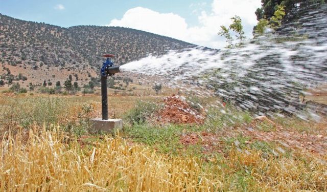 Arıtma suyu kurak topraklara can verdi