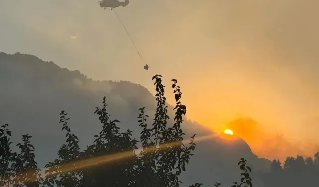 Kahramanmaraş’taki orman yangını söndürüldü