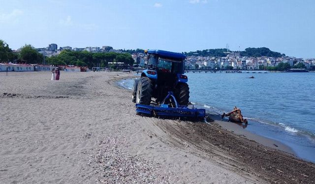 Ordu sahilleri atıklardan temizleniyor