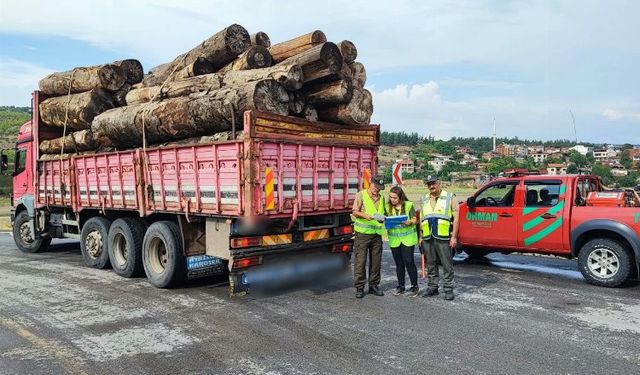 Orman ürünü taşıyan kamyonlara denetim