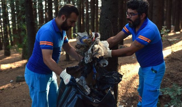 Ormanlık alanlar temizleniyor