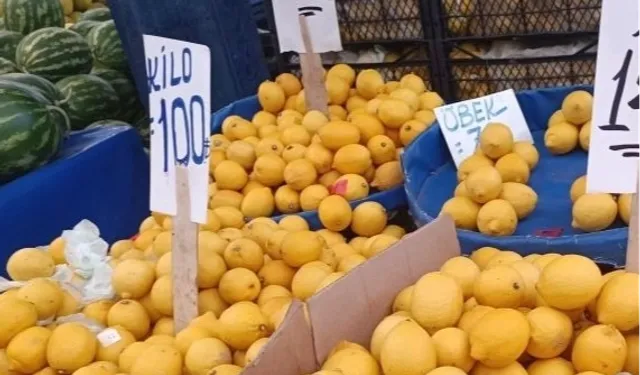 Üreticisinin sesine duyarsızlık limonda fahiş fiyatlara neden oldu