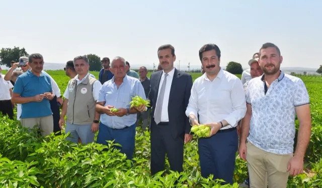 Yenişehir Biberi'nin marka değeri yükselecek