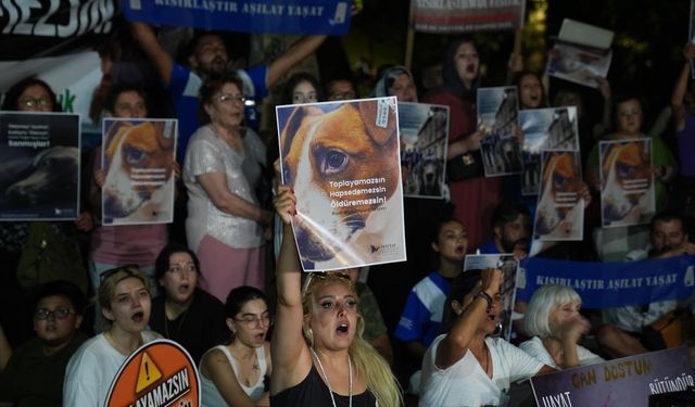 Ankara'da sahipsiz hayvanlara yönelik kanun teklifi protesto edildi