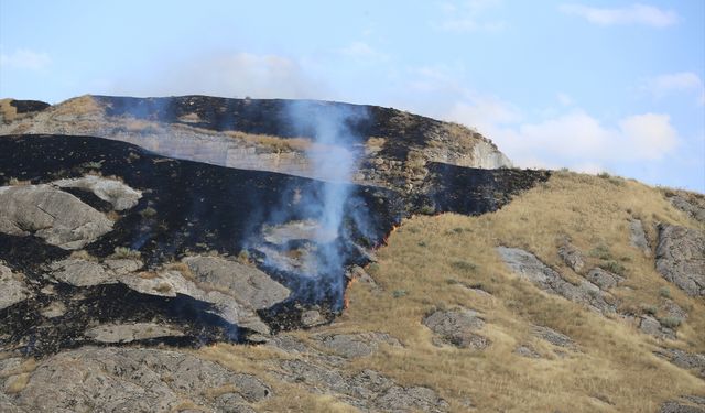 Çavuştepe Kalesi'nde yangın çıktı