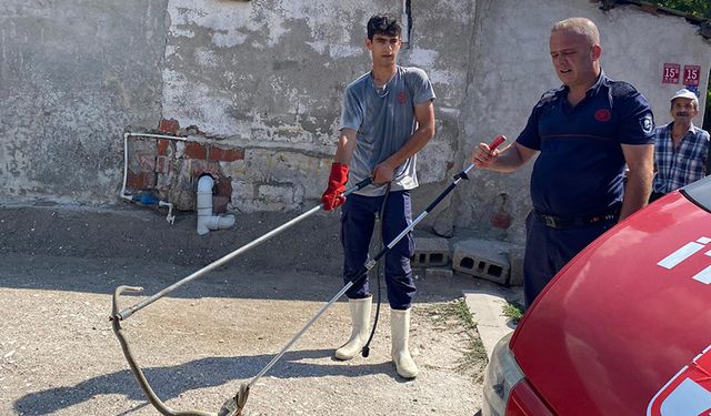 Eve giren yılan itfaiye erleri tarafından çıkarıldı