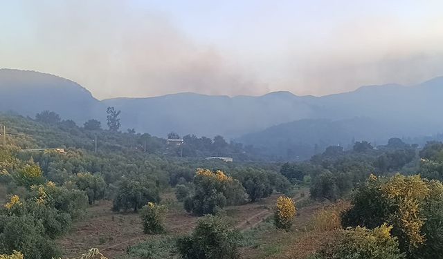 Adana'daki orman yangınına ekipler müdahale ediyor