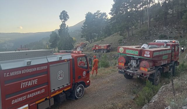 Ormanlık alandan dumanlar yükseldi