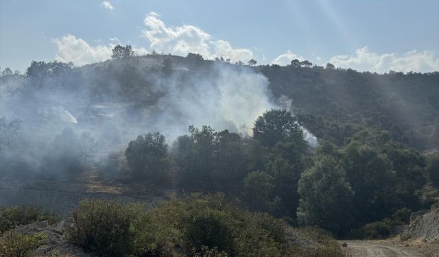 Örtü yangını kontrol altına alındı