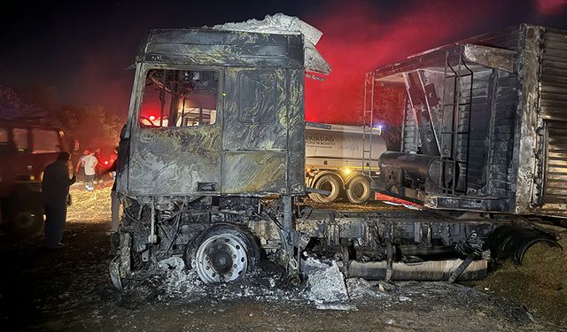 Tırda başlayan yangın anızlık alana sıçradı