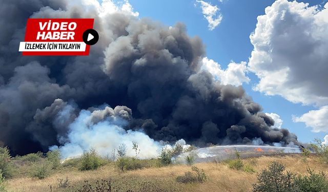 Feci yangın: Yaklaşık 500 dekarlık alan ve geri dönüşüm tesisi küle döndü