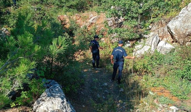 20 gündür kayıp olan kişiyi arama çalışmaları sürüyor