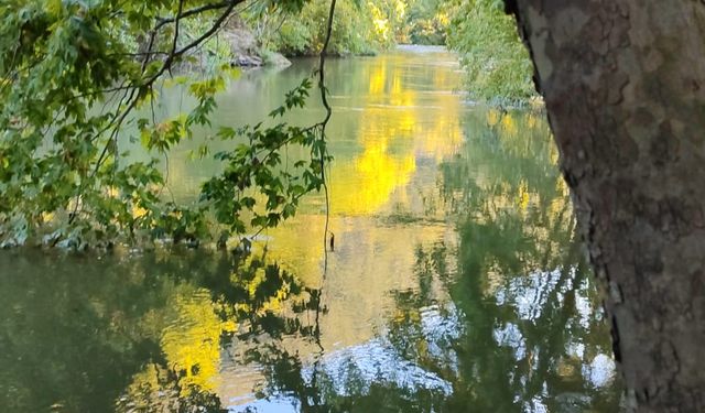 Balıkesir'de bir kişi girdiği çayda kayboldu