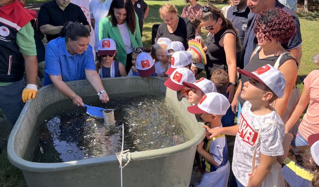 Baraj ve göletlere 1 milyon 750 bin sazan yavrusu bırakıldı