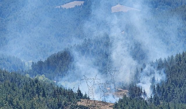 Bursa'da ormanlık alanda çıkan yangın söndürüldü