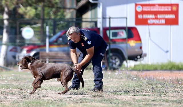 itfaiyeci enkazdan çıkmasını sağlayan arama kurtarma köpekleriyle hayat kurtarıyor