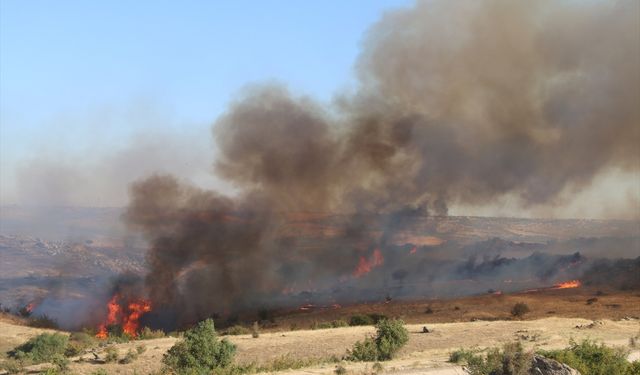 Kırklareli'nde anız yangını ağaçlık alana sıçradı