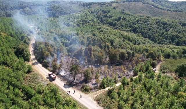 Ormanlık alana sıçrayan yangın kontrol altına alındı