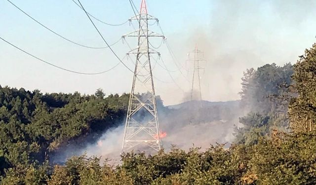 Sakarya'da ormanlık yangın çıktı