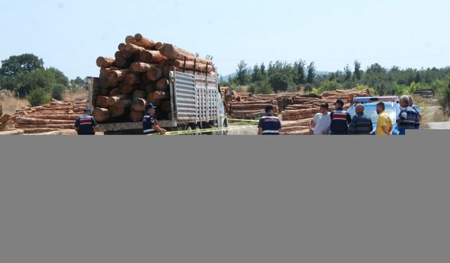 Üzerine tomruk düşen sürücü öldü