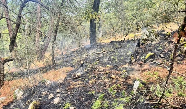 Yıldırım isabet eden ormanlık alandaki yangın söndürüldü