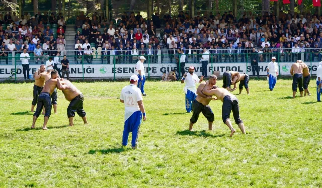 Bakan Tekin, 'güreş ağası açık artırması'na katıldı