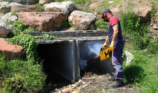 Büyükşehir vektörlere karşı savaşıyor