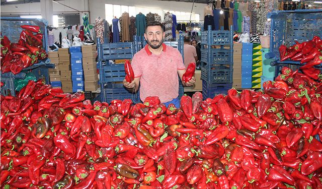 Çerkezköy’de salçalık biber tezgahlarda yerini aldı