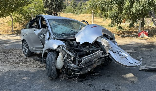 Direğe çarpan otomobildeki 4 kişi yaralandı