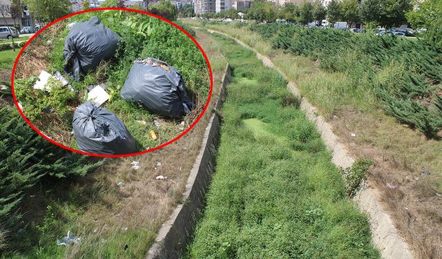 Vatandaşlar deredeki koku ve sivrisineklerden şikayetçi