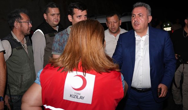 Urla'daki yangına ilişkin İzmir Valiliğinden açıklama geldi