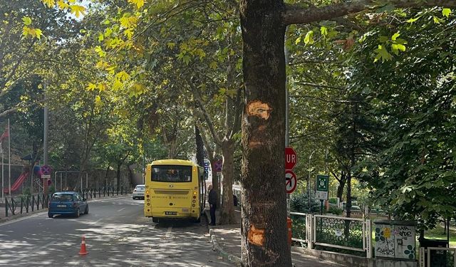 Ağaca çarpan otobüsteki 5 yolcu yaralandı