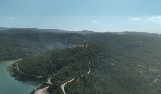 Bursa'da ormanlık alanda çıkan yangın söndürüldü