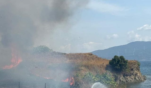 Çıkan yangın 400 dönümlük alana zarar verdi