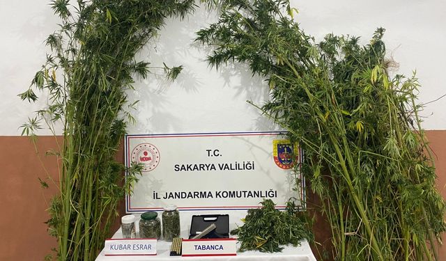 Uyuşturucu operasyonlarında yakalanan 3 zanlıdan 1'i tutuklandı