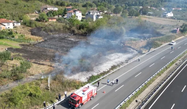 Anız yangınında fındık arazisi zarar gördü!