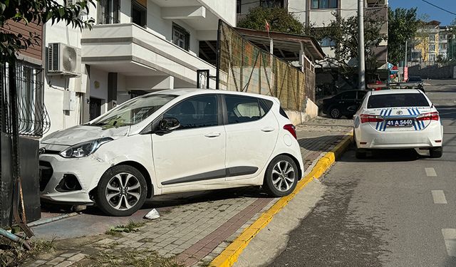 Üzerine bahçe kapısı devrilen anneanne ve 2 torunu yaralandı