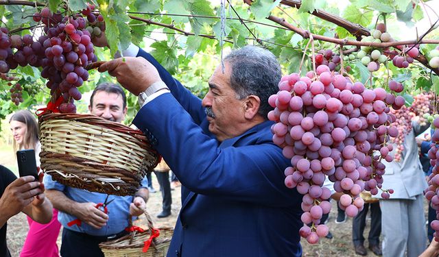 "12. Bağ Bozumu Şenliği" düzenlendi