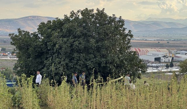 Yıldırım isabet eden çoban öldü